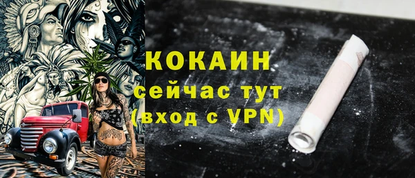 винт Лиски