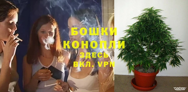 винт Лиски